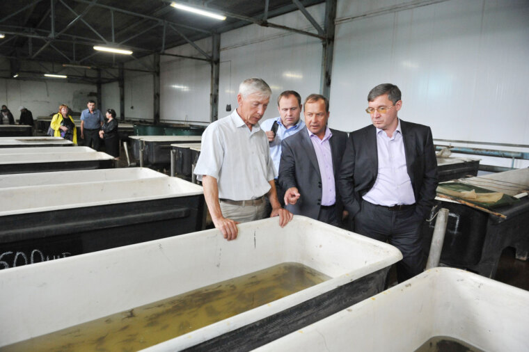 Строить новое, сохраняя исторический облик