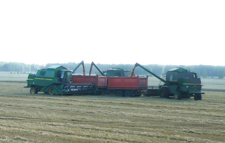 Чей каравай будет больше?