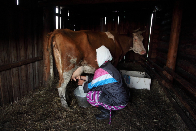 По каналам Сибирской Венеции