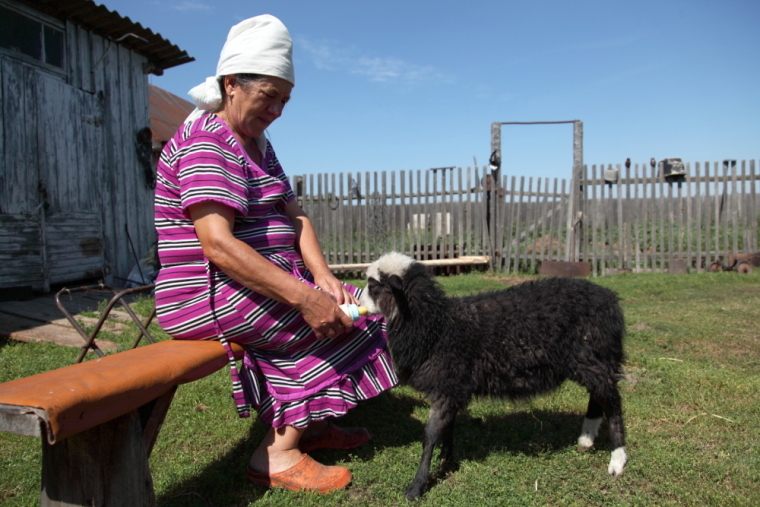 По каналам Сибирской Венеции