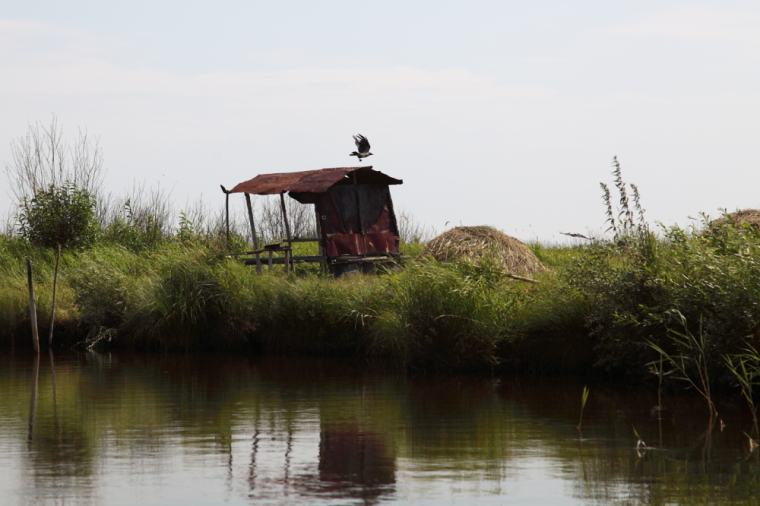 По каналам Сибирской Венеции