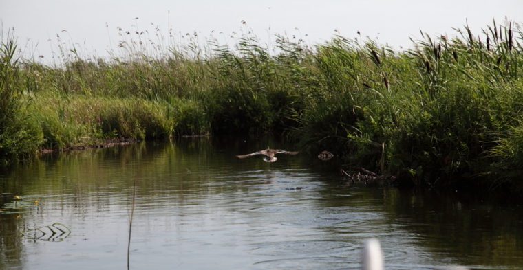 По каналам Сибирской Венеции