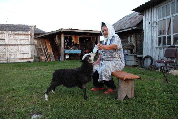 По каналам Сибирской Венеции