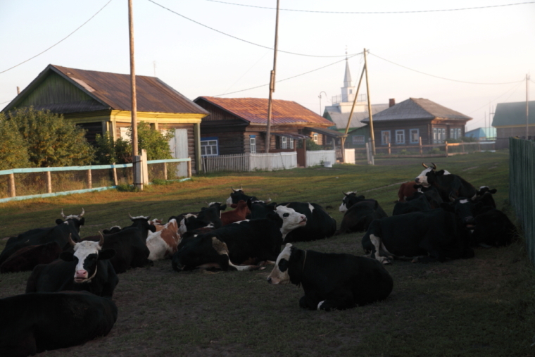 По каналам Сибирской Венеции