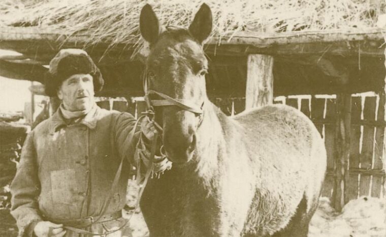 Армизонское: сибирский край березового ситца