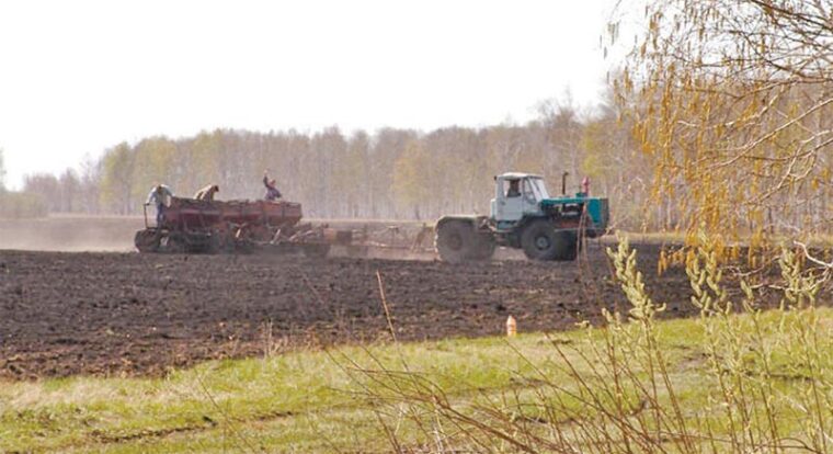 Армизонское: сибирский край березового ситца