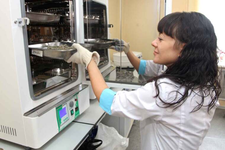 Инженерный спецназ экономики