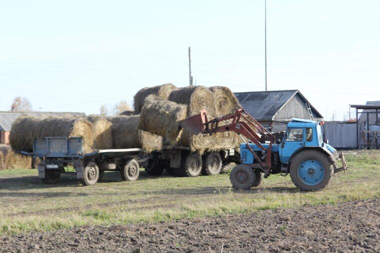 Праздник для гурманов