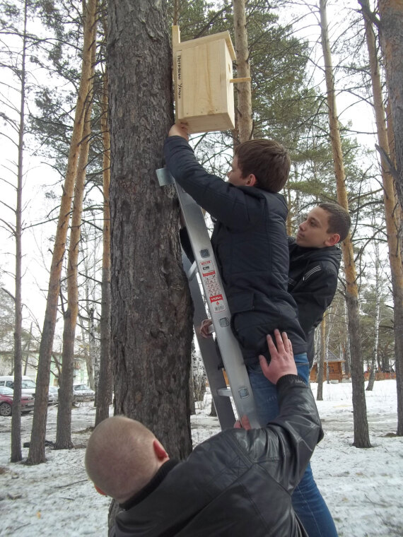 Операция «Скворец»