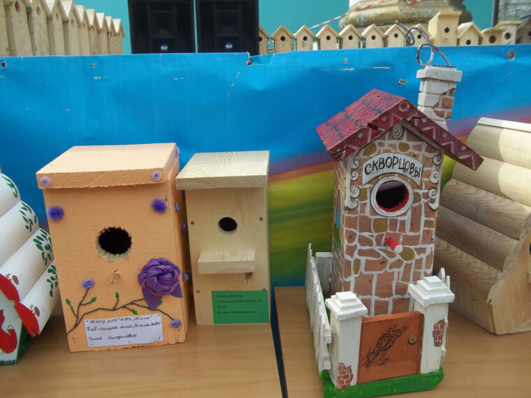 Операция «Скворец»