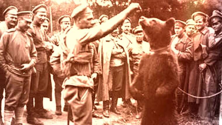 Уроки истории Первой мировой