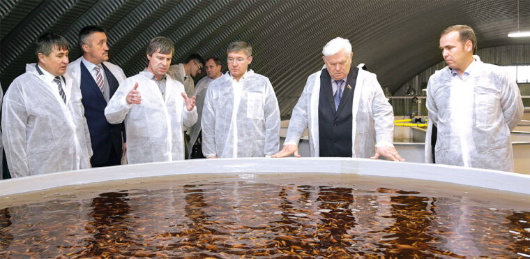 Перспективы озерного края