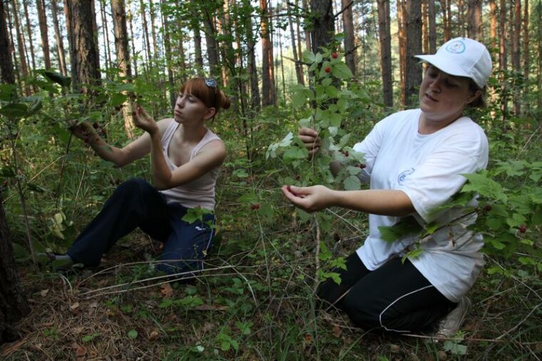 Экспедиция «Тюмень – Талица»: память о герое-разведчике жива