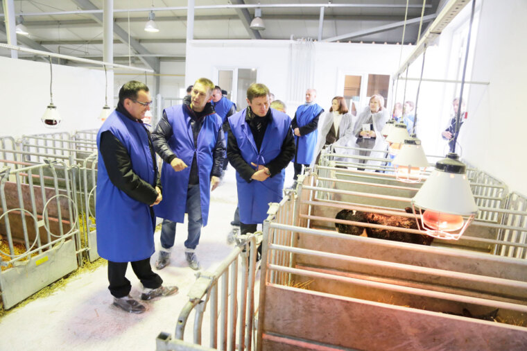 Почет и уважение крестьянским рукам