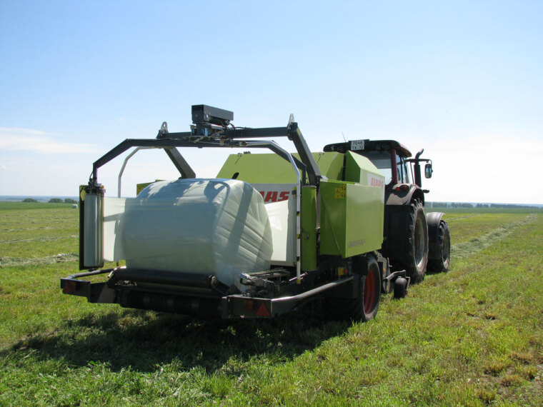 Всходы вопреки непогоде