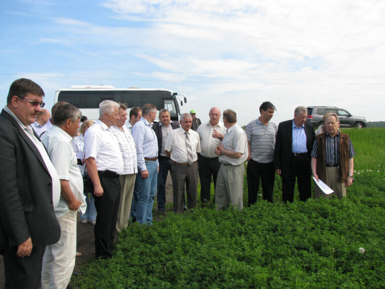 Всходы вопреки непогоде