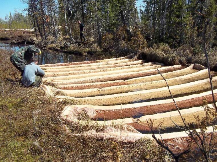 Чистой водицы вдоволь напиться