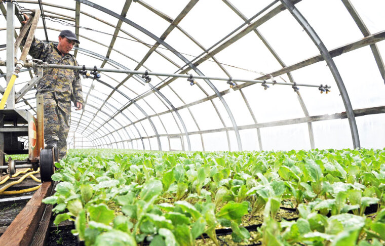 Залог успеха – грамотные кадры