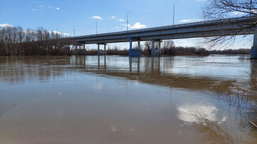 Уровень воды в реке Ишим превысил исторический максимум