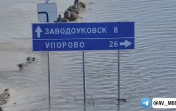 В Заводоуковском городском округе вырос уровень воды в реке Тобол 