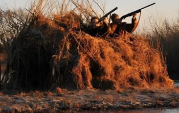 В Тюменской области ввели ограничения на весеннюю охоту