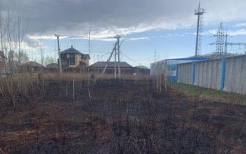 В Тюменском районе сгорело 300 квадратных метров сухой травы