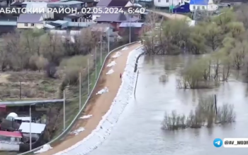 Уровень воды в Викуловском районе будет подниматься еще неделю