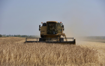 В Тюменской области засеют 732 тысячи гектаров полей зерновых культур
