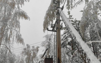 С целью устранения последствий снегопада в Тюменской области работают 50 энергетиков «Россети Тюмень» 