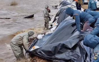 В Абатском районе спасатели МЧС встали на защиту федеральной трассы